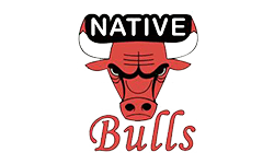 Native bulls